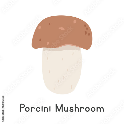 Porcini Mushroom Vector Illustration. Porcini Mushroom Cartoon Clipart, Vegetable in Flat Style. Also called King Bolete, Penny Bun, Steinpilz, or Boletus edulis. Mushroom and Fungi Concept Vector