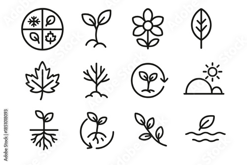Seasonal Botanical Wheel. Year-Round Botanical Cycle Collection in outline black lines style. seasonal wheel, spring renewal, summer vitality, autumn transition, winter calm,