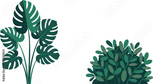 Lush green tropical monstera leaves and dense bush foliage, vibrant natural plants, indoor decoration, botanical garden, fresh greenery, nature background