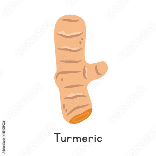 Turmeric Vector Illustration. Turmeric or Curcuma longa Cartoon Clipart, Vegetable in Flat Style. Also called Haldi, Jiang Huang, Indian Saffron, or Haridra. Root Vegetable Concept Vector Design
