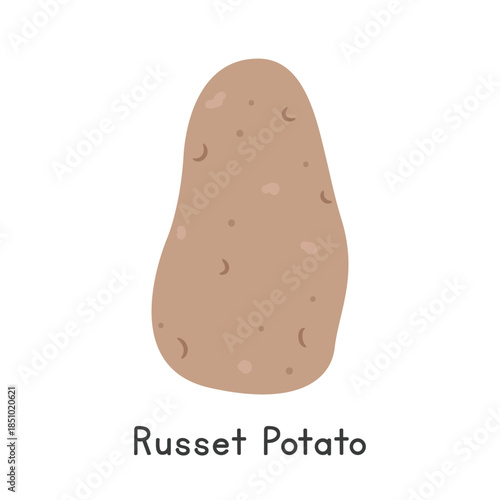 Russet Potato Vector Illustration. Russet potato Cartoon Clipart, Vegetable in Flat Style. Also called Idaho potato or Solanum tuberosum 'Russet Burbank'. Tuber, Vegetable Concept. Common Vegetables