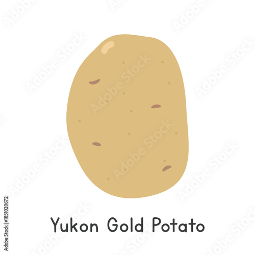 Yukon Gold Potato Vector Illustration. Yukon Gold Potato Cartoon Clipart, Vegetable in Flat Style. Also called Yellow Potato, Golden Potato, or Solanum tuberosum 'Yukon Gold'. Tuber, Vegetable Concept