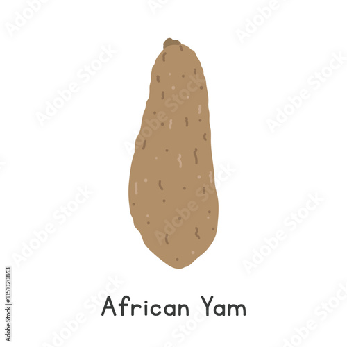 African Yam Vector Illustration. West African Yam Cartoon Clipart, Vegetable in Flat Style. Also called White Yam, Yellow, Bitter, Guinea Yam. Tuber, Vegetable Concept. Common Vegetable Vector Design
