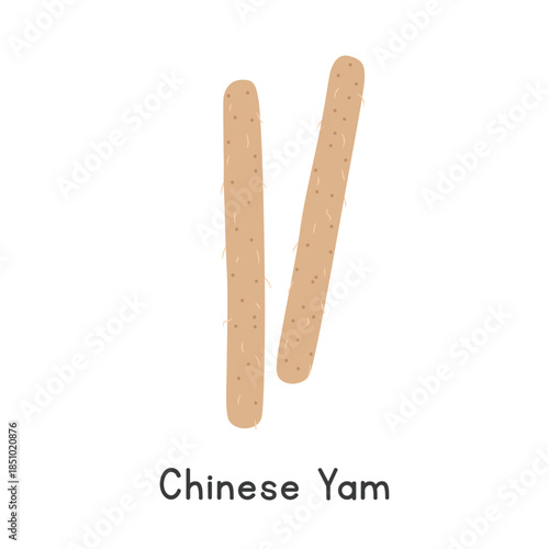 Chinese Yam Vector Illustration. Chinese Yam Cartoon Clipart, Vegetable in Flat style. Also called Cinnamon Vine or Dioscorea polystachya. Tuber, Vegetable Concept. Common Vegetable Vector Design