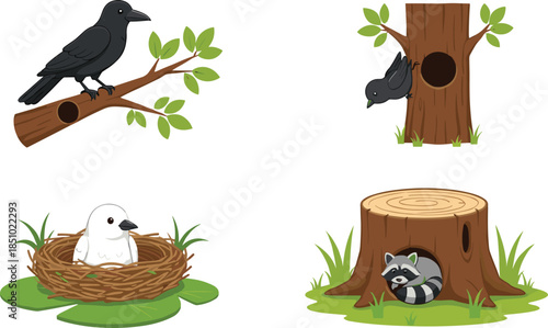 Cartoon animal habitat vector set featuring a black crow on a branch bird in nest and raccoon in a tree stump hollow.