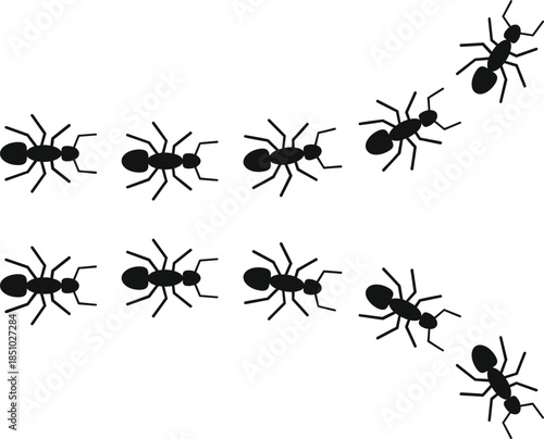 Ants walking in two lines representing collaboration and a connected community