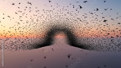 Spectacular Murmuration - A mesmerizing display of starlings in flight at sunset.