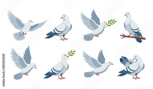 Doves and pigeons representing peace, freedom, and love