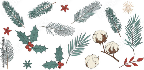Set of Christmas botanical illustrations, featuring holly, berries, pine branches, fir, and cotton bolls, hand-drawn vector collection for winter holiday design.
