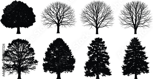 Set of eight black silhouette tree vectors including full summer foliage, bare winter branches, and dense evergreen pine trees, ideal graphic collection for nature, architecture, and landscape plannin