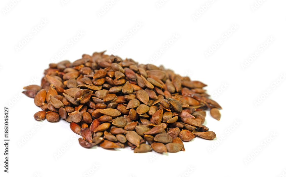 Obraz premium Apfelkerne vor weißem Hintergrund