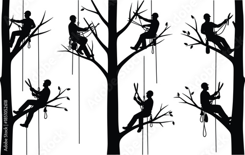 Tree trimming workers silhouettes climbing branches with ropes isolated on white background for arborist safety forestry illustration design