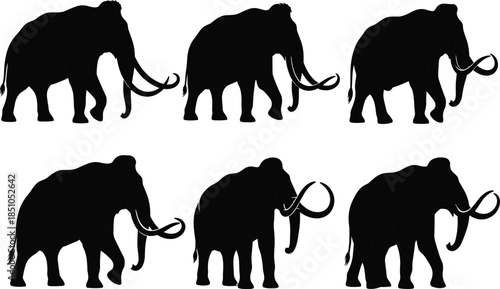 Woolly mammoth silhouettes set showing prehistoric ice age animals in different walking poses isolated on white background vector illustration