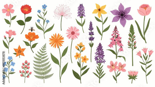Colorful Array of Floral Illustrations for Creative and Design Projects