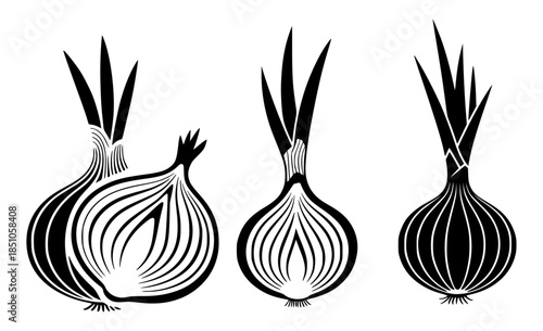 Black and white stylized of onions whole and halved editable vegetable