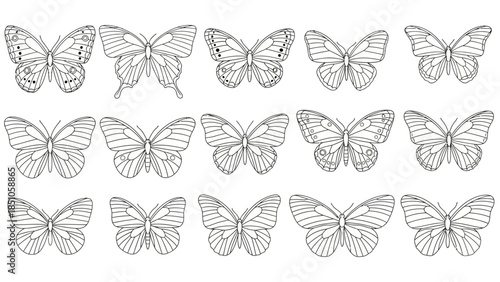 Set of Elegant Butterfly Line Drawings for Nature and Wildlife Designs