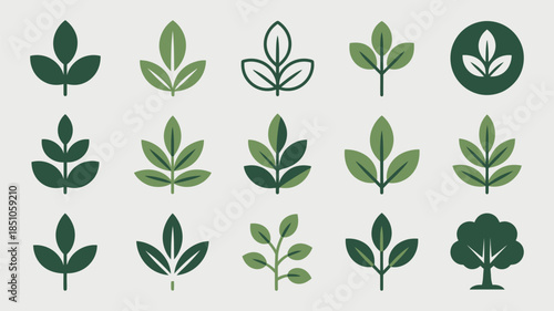 Nature and Ecology Icon Set – Green Leaves, Plants, and Organic Concept Vectors