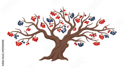 Bare tree branches growing red and blue berries