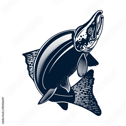 A captivating woodcut style illustration of a powerful salmon leaping gracefully upwards isolated on white background, Vector