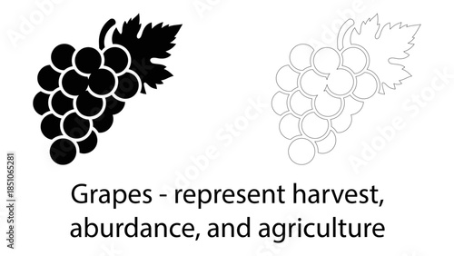 Grapes symbolize harvest, abundance, and agriculture