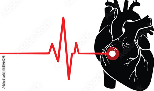 Human Heart with ECG Line Illustration