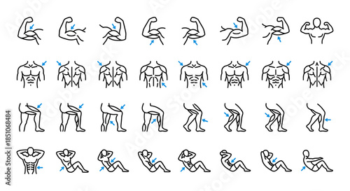 Human body muscles anatomy and exercise line icons