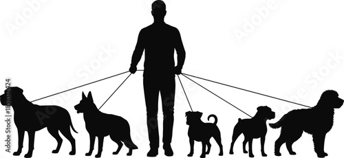 Man walking multiple dogs silhouettes, pet care concept, dog walker service, animal companionship, outdoor activity, responsibility, lifestyle, teamwork