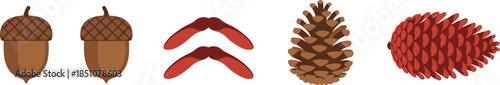 Autumn forest seed and nut collection featuring acorns, maple helicopter seeds, and pine cones illustrated in clean flat vector style isolated on white background