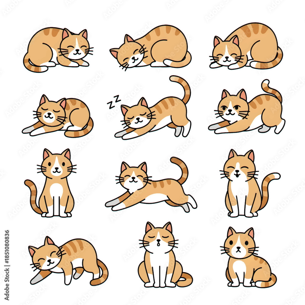 Obraz premium set of cats