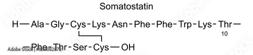 Somatostatin, chemical structure of somatostatin, drug substance
