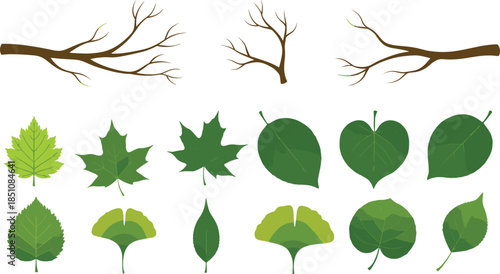 Tree branches and green leaf collection with various botanical foliage shapes illustrated in clean flat vector style isolated on white background for nature design