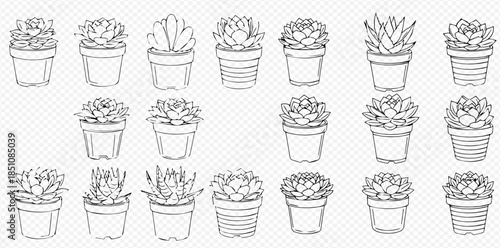Collection of hand-drawn succulent plants in pots, perfect for home decor and botanical illustrations.