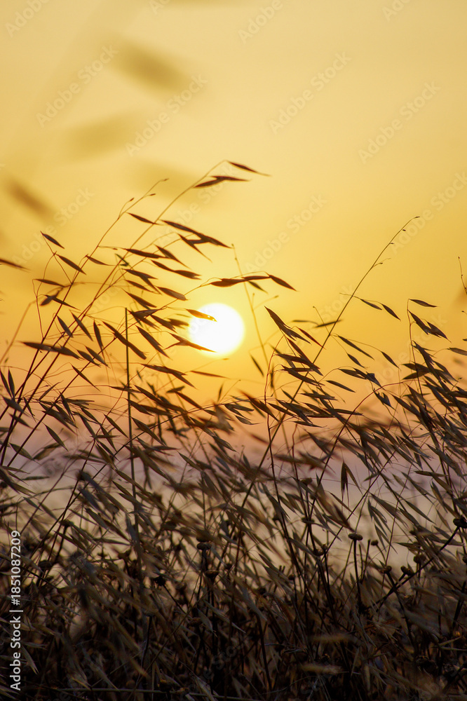 Obraz premium Sunset over the sea