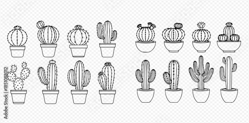 Collection of various potted cactus plants in outline style, perfect for home decor or graphic design projects.