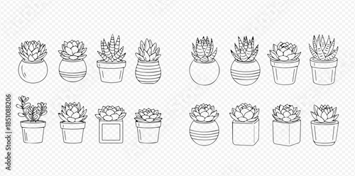 Set of hand-drawn succulent plants in various pots, black and white outline illustration.