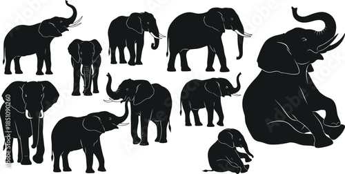 Elephant silhouette vector collection, walking, standing, sitting poses, wildlife animal shapes, black silhouettes, editable design, isolated icons, stock illustration