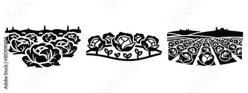 cabbage field silhouette icon set. agriculture, plant-based lifestyle symbols