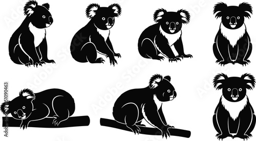 Koala vector illustration set, cute koala poses, black and white animal drawings, wildlife clipart, tree branch koalas, cartoon style, stock art