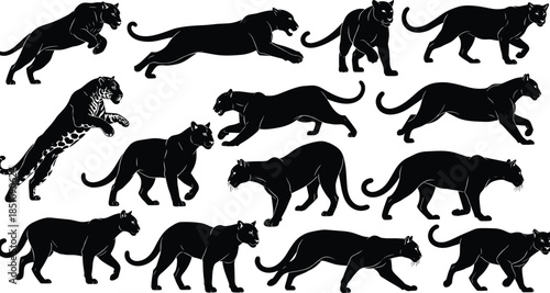 Panther silhouette vector set, wild animal poses, black panther motion, stalking, leaping, crouching, running, wildlife illustration, predator art, dynamic feline