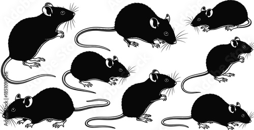 Mouse silhouette vector set, black rodent illustrations, animal poses, wildlife clipart, pest control icons, biology education, isolated rat shapes