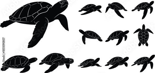 Sea turtle silhouette vector set, black marine animal icons, swimming turtle poses, ocean wildlife clipart, underwater creature illustration, editable design elements
