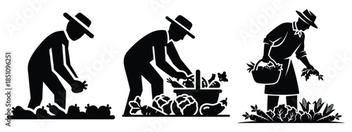 farmer collecting vegetables silhouette icon set. agriculture, plant-based lifestyle symbols