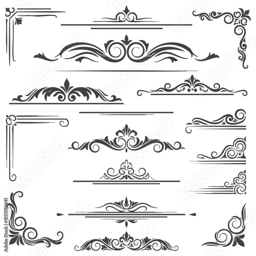 Set of vector graphic elements for design.  Easily editable vector, calligraphic elements