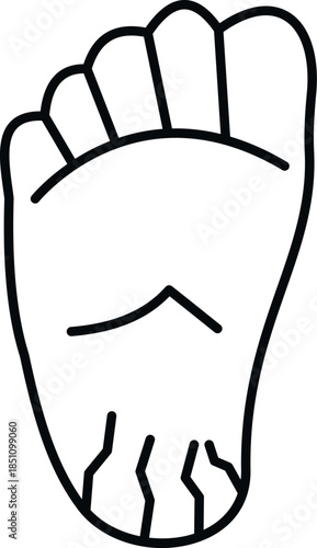 Human foot sole with cracked skin on the heel