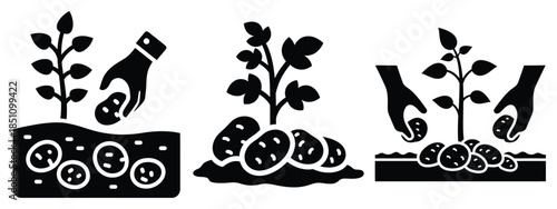 potato harvest silhouette icon set. agriculture, plant-based lifestyle symbols