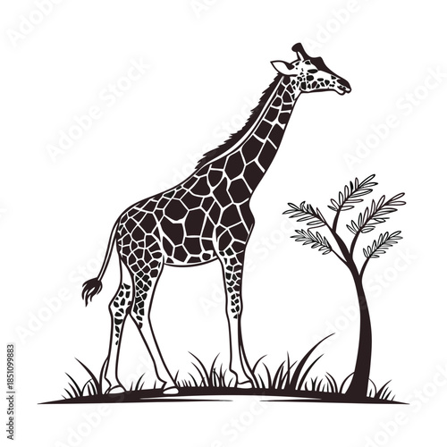 Giraffe with Gum Svg