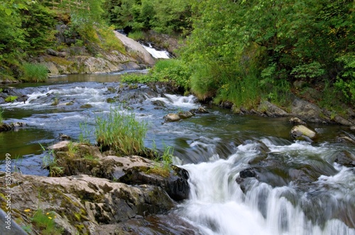 small waterfall in the forest