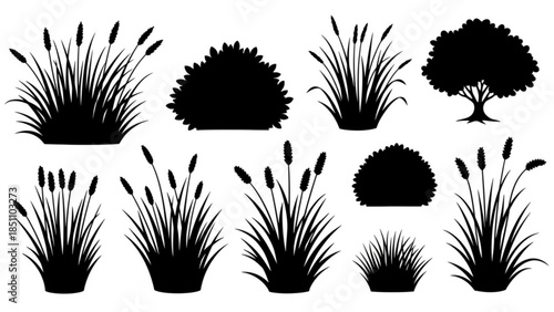 Silhouette Collection of Various Grass, Plants, and Trees in Black on White Background