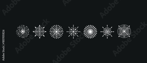 A set of white vector snowflakes on the black background
