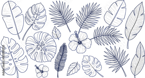 Set of tropical botanical line art illustrations featuring monstera palm leaves and hibiscus flowers in dark blue ink style for summer branding and jungle patterns
